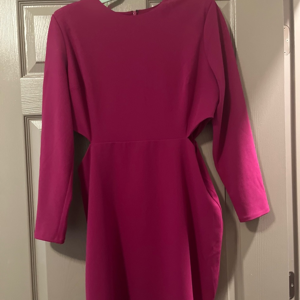 Express Fuchsia Long Sleeve Dress